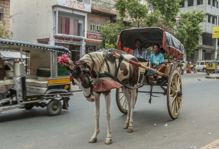 86 - India - carro con caballo